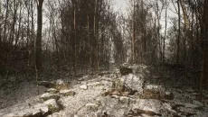 Abandoned - дата выхода