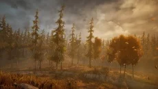 Wandering Wolf - дата выхода