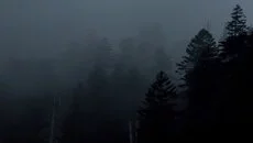 Ar'Kritz the Intruder - дата выхода для DOS