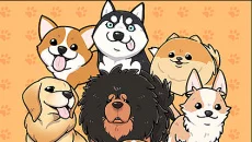 Lucky Puppy - дата выхода для Android