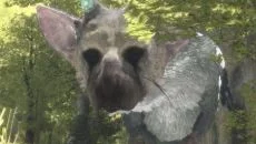 Last Guardian - дата выхода для PlayStation 4