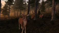 Virtual Hunter - дата выхода для PC