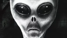 Observer похожа на Observer