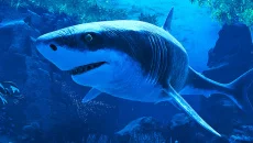 Glaciered - дата выхода для PC