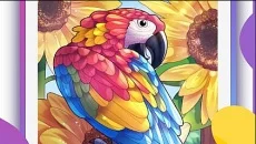 ColorMe - Painting Book - дата выхода для Android