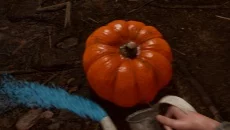 Hallowed Pumpkins - дата выхода