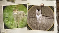 Hunting Sniper - дата выхода для Android