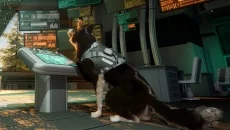 Barkour - дата выхода для PC