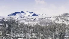 The Cold White - дата выхода для PC