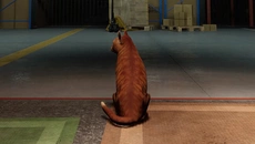 ORDER 13 - дата выхода для PC