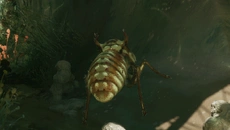 MOLD - дата выхода