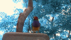 Wanderness - дата выхода для PC