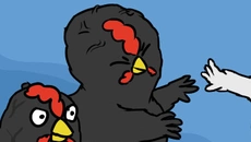 Broilers - дата выхода для PC