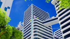 PANLINE - дата выхода для PC