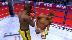 Boxing Manager - дата выхода для PC
