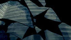 Breathless - дата выхода для Amiga