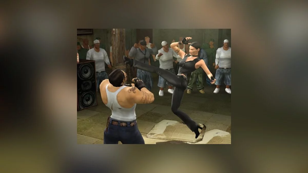 Синди Джонсон в игре Def Jam: Fight for NY.