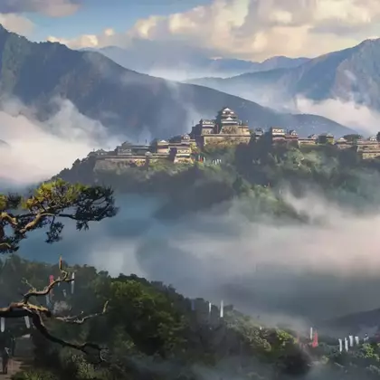 Assassin's Creed: Shadows раскритиковали за нереалистичное выращивание риса