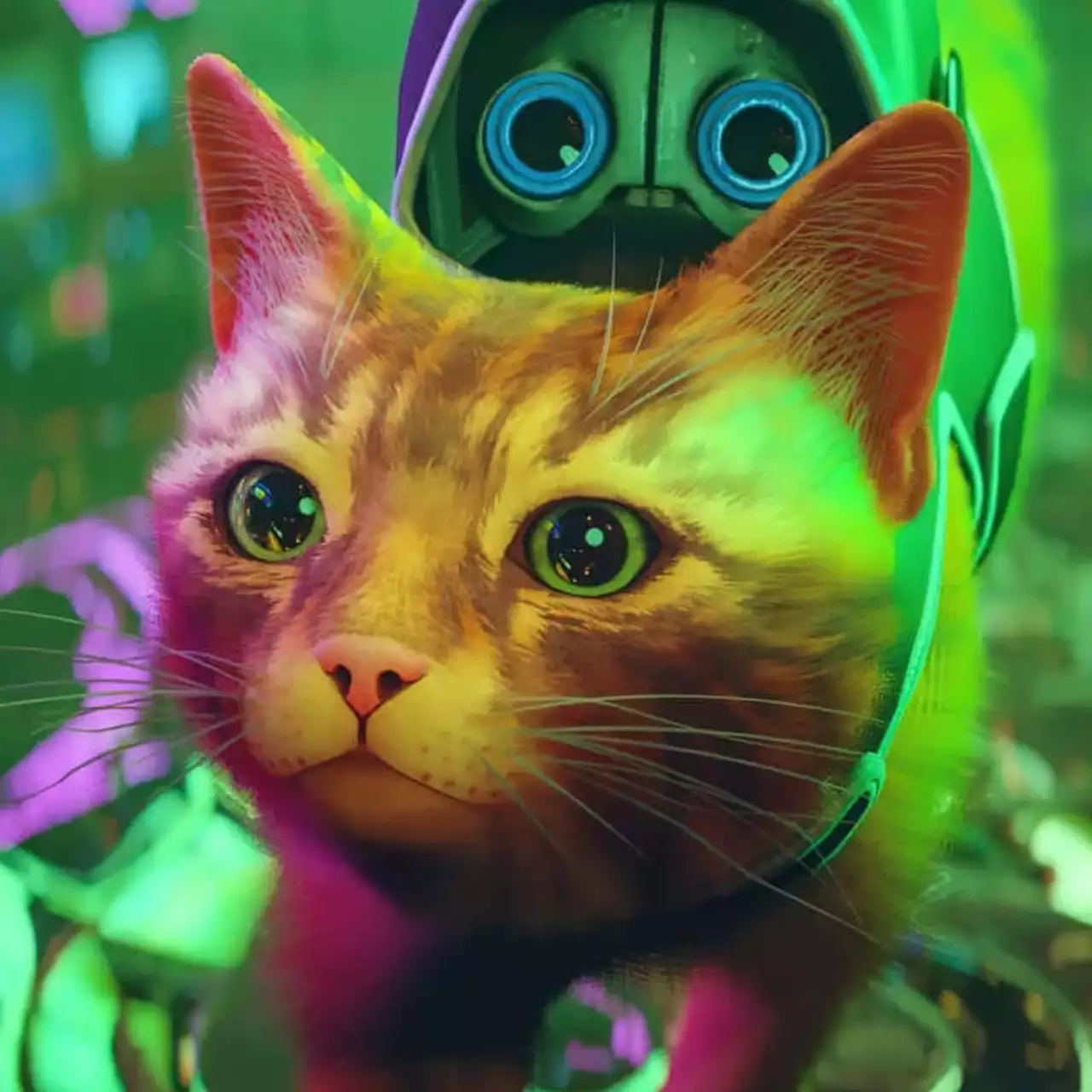 Подписчики PS Plus уже могут скачать Stray и еще две игры