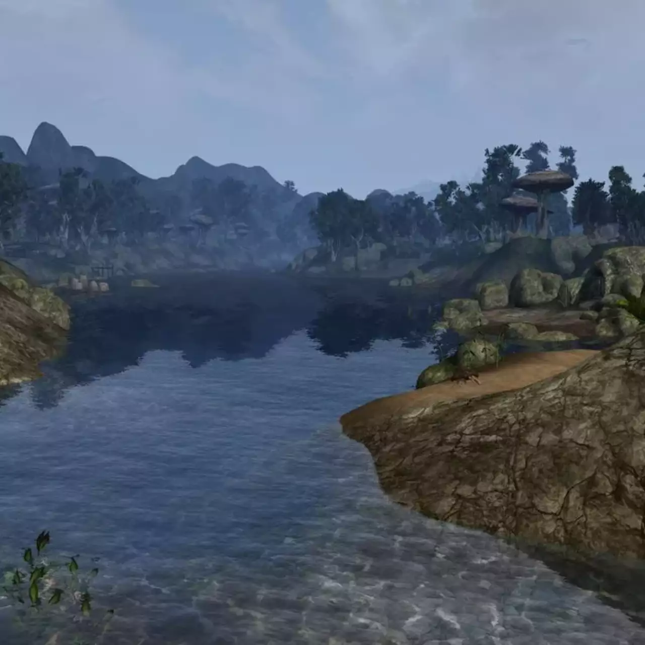 Издатель Larian возразил бывшему дизайнеру Bethesda: ремейк Morrowind «продавался бы как горячие пирожки» от правильной студии