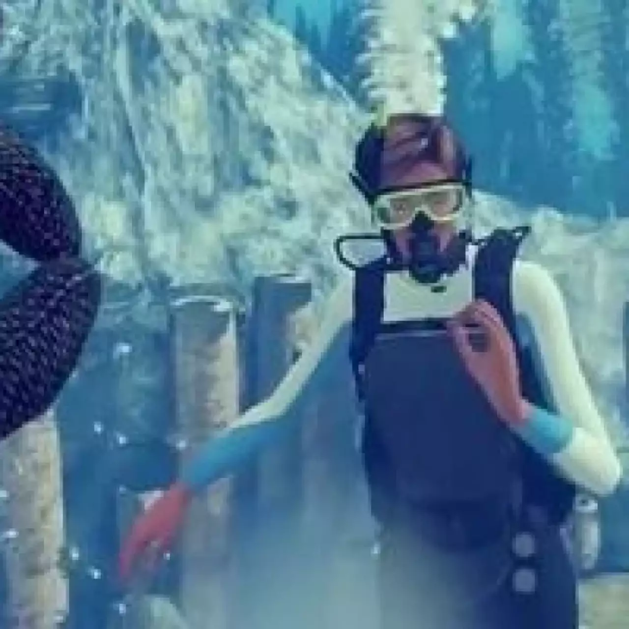 World of Diving откроет красоты подводного мира