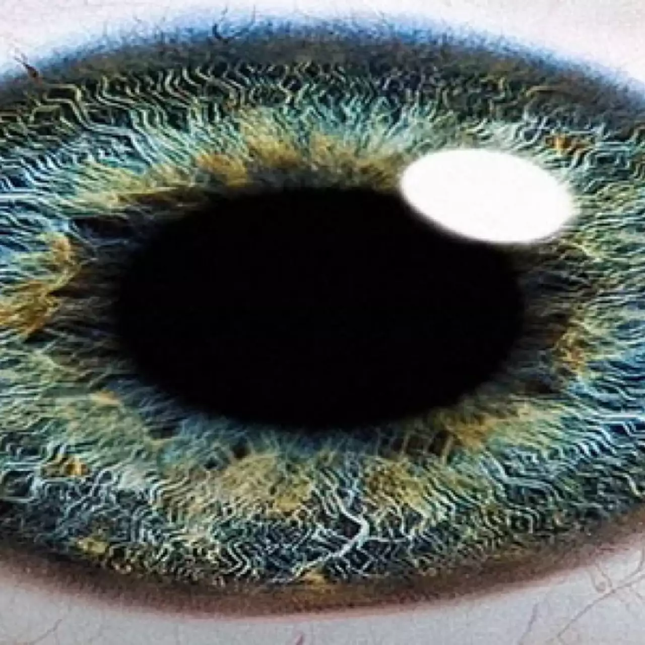 Brighter Day изменит представление о жанре «хоррор»