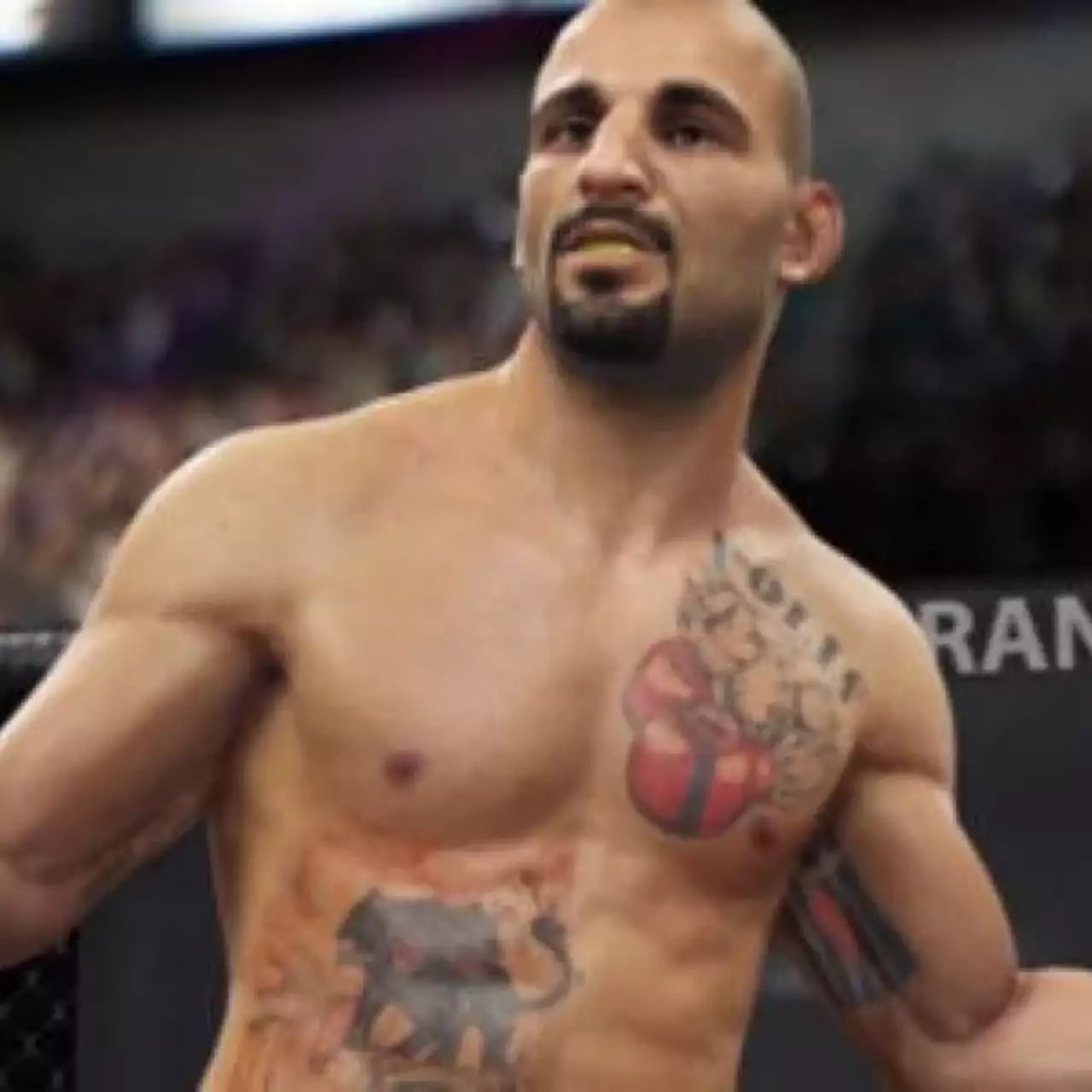 Стала известна точная дата выхода UFC 2