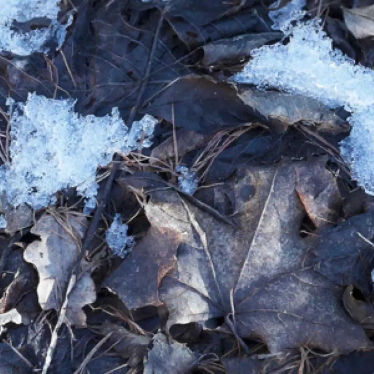 VGNews одной строкой: фотореалистичное демо на Unreal Engine 4, новый трейлер Total War: Warhammer и многое другое