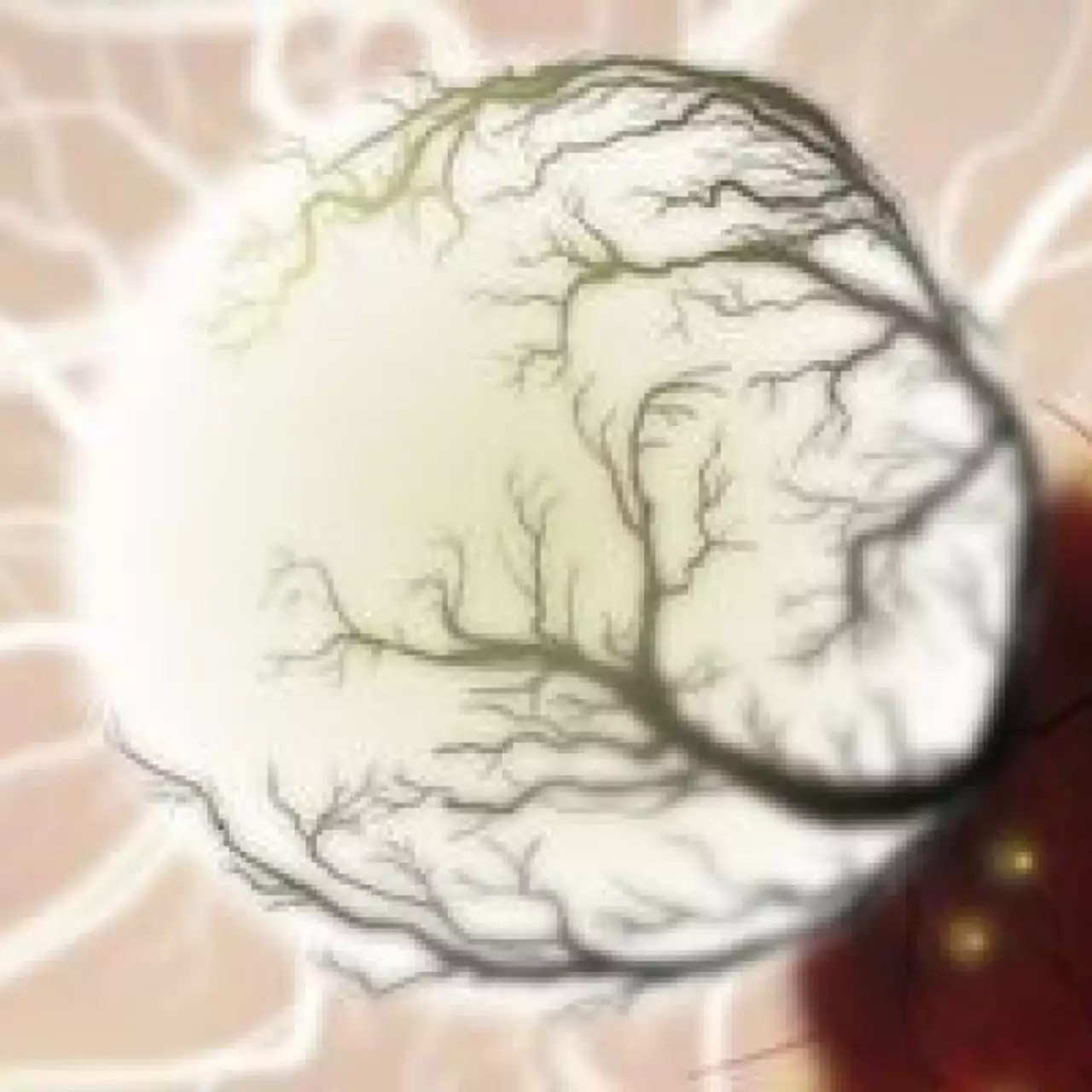 Botanicula: уже в продаже