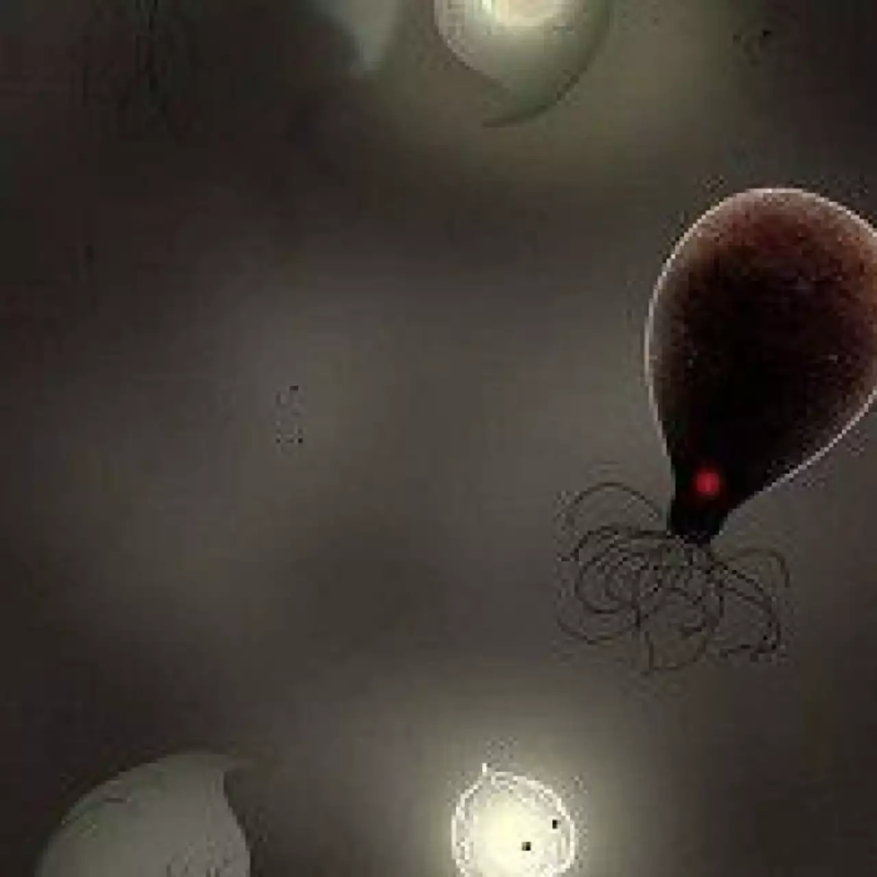 Botanicula появилась в Steam