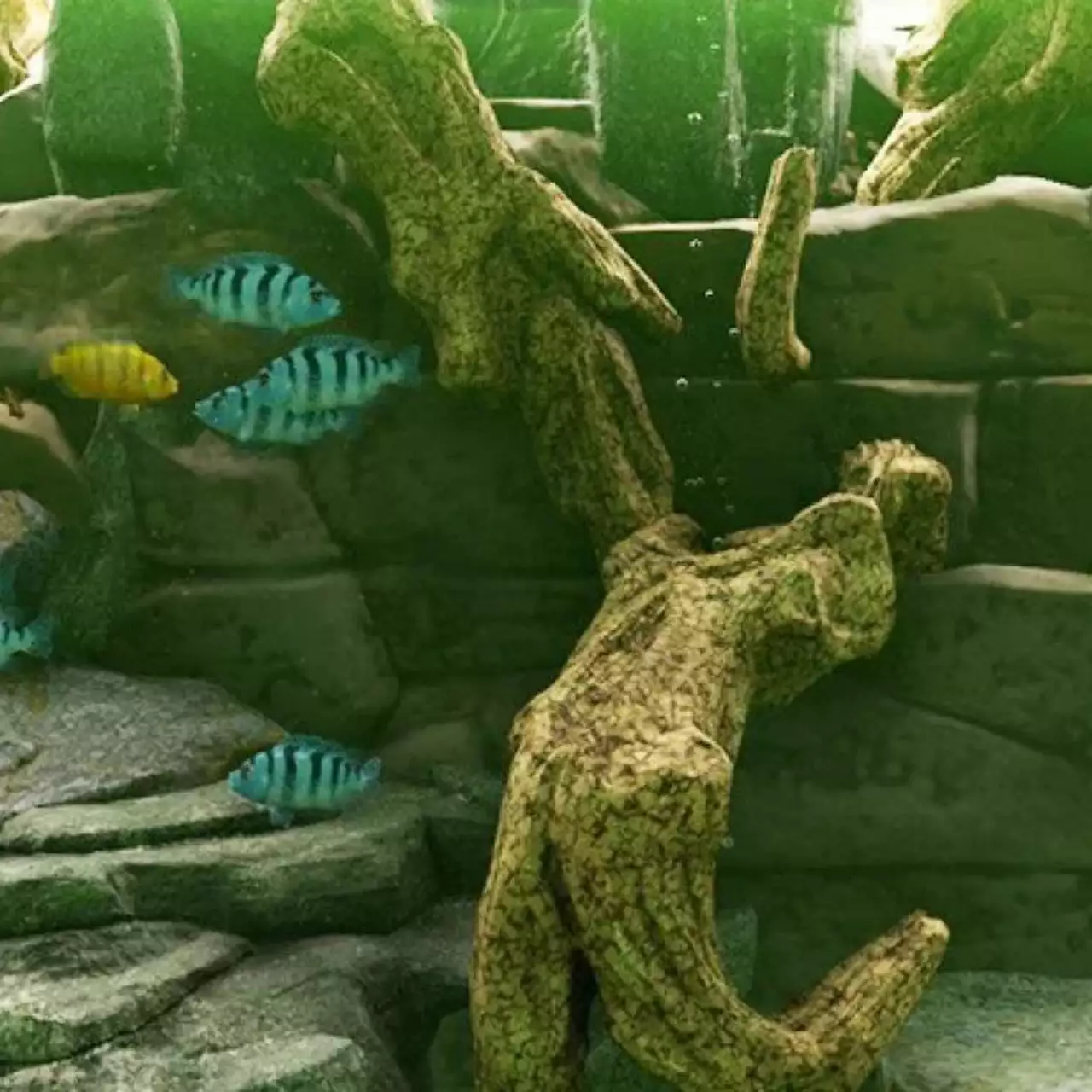 В Steam выйдет симулятор аквариума с фотореалистичной графикой Biotope — трейлер и скриншоты