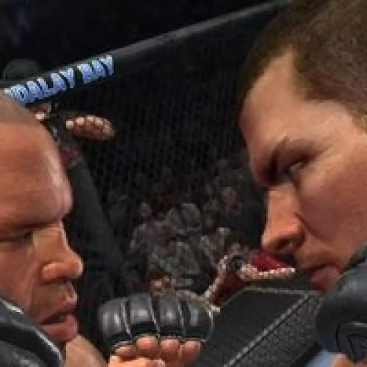 THQ опубликовала список игр для E3