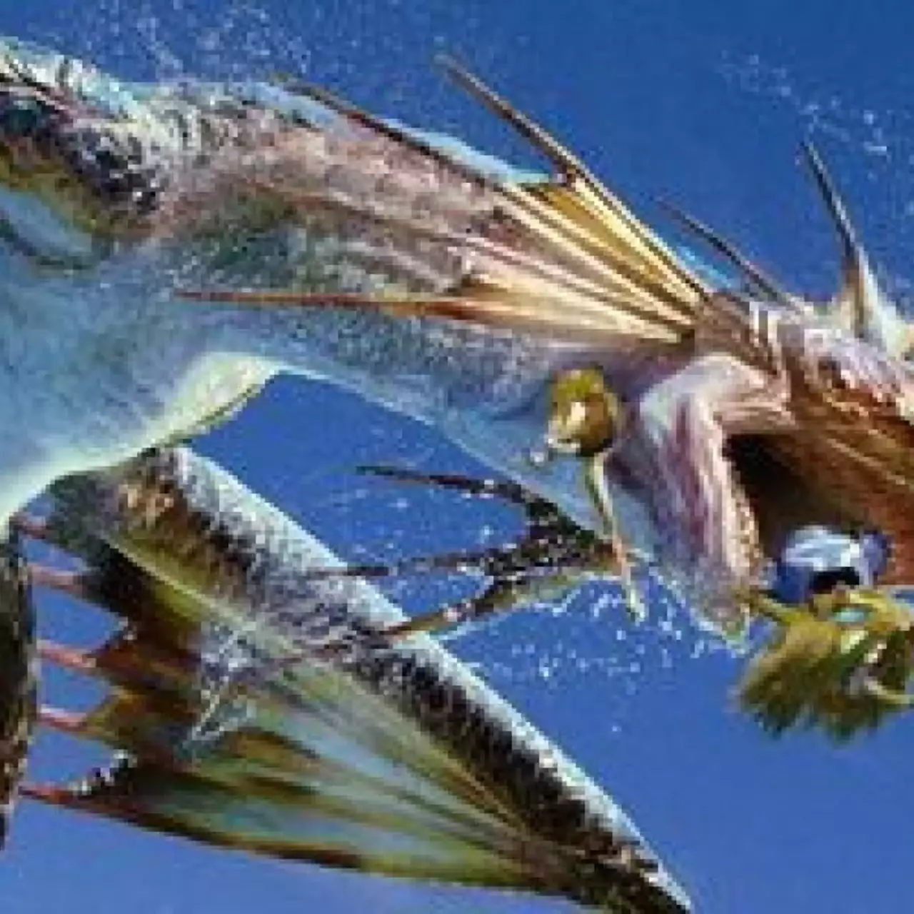 Битвы с монстрами в трёх новых видео Monster Hunter 3 Ultimate