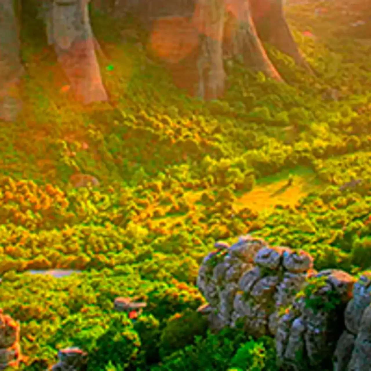 Версия Dragon Quest X для Wii U получит оркестровую музыку