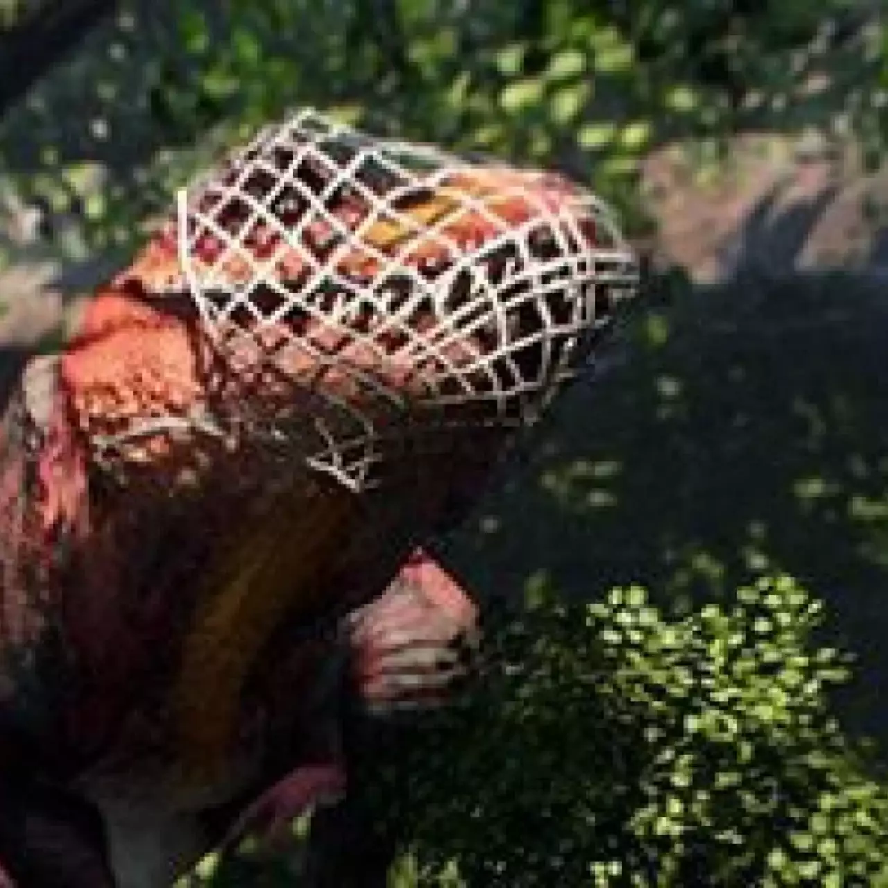 Primal Carnage получила новый режим