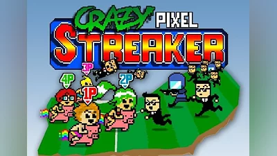 Crazy Pixel Streaker EN/DE/FR/IT/PT/ES Global (Global) [Steam]