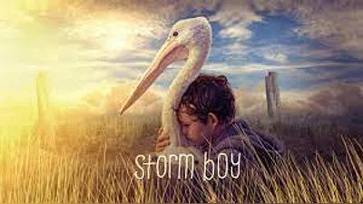 Storm Boy (PC) [RU/CIS] [Standard]