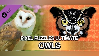 Pixel Puzzles Ultimate - Puzzle Pack: Owls (Steam key)