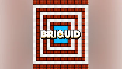 Briquid (Россия, Украина и СНГ)