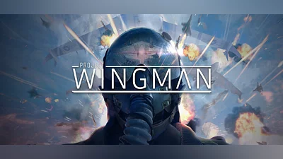 Project Wingman