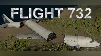 Flight 732