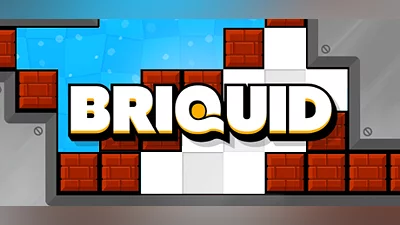 Briquid