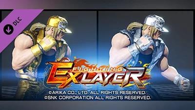 Сборник FIGHTING EX LAYER - Color Gold/Silver: Terry