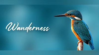 Сборник Wanderness