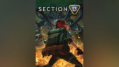 Section 13