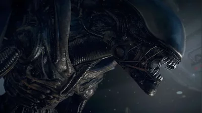 Alien Isolation Steam Ключ Весь мир