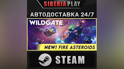 Wildgate STEAM АВТО RU/UA/KZ/СНГ