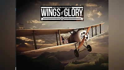 Wings of Glory Steam ключ Весь Мир Global + RU/CIS РФ Россия СНГ стим